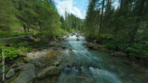 Flight over a mountain river. Shot on FPV drone. Tatra Mountains, Slovakia.