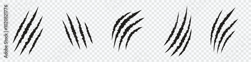 Claw Scratch Icon Set | Wild Animal Scratch Marks Vector Graphics