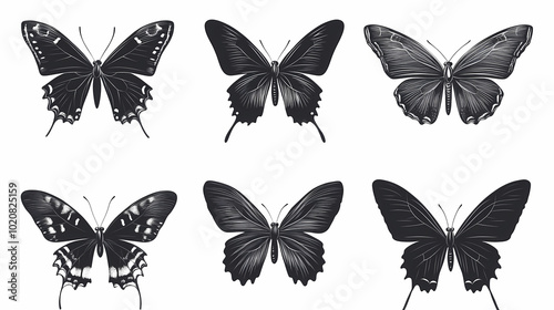 Butterfly collection,Butterfly Vector Silhouettes. Decorative Insect Collection.