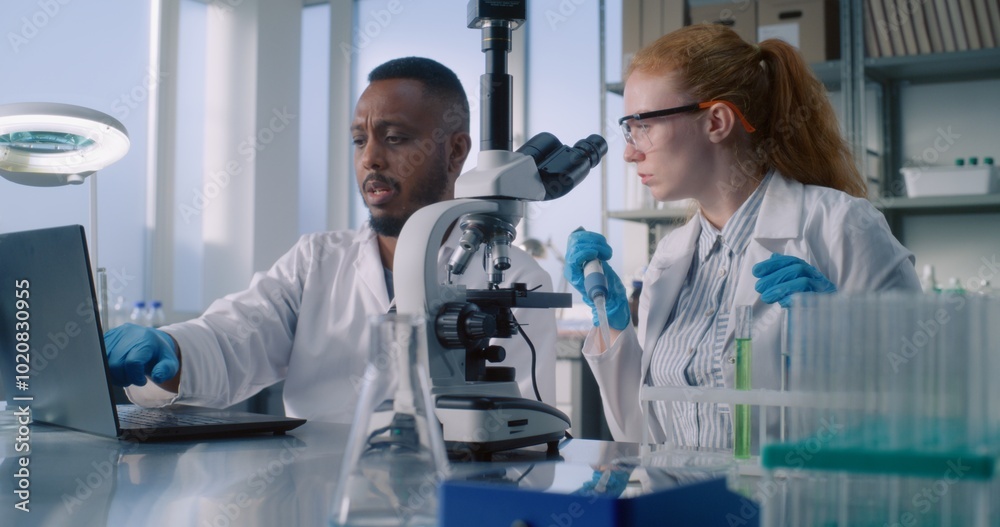 Multiethnic team of biotechnology scientists develop drugs in advanced medical science lab. Female chemist works with chemical materials, looks under microscope. African American colleague uses laptop Multiethnic team of biotechnology scientists develop drugs in advanced medical science lab. Female chemist works with chemical materials, looks under microscope. African American colleague uses laptop