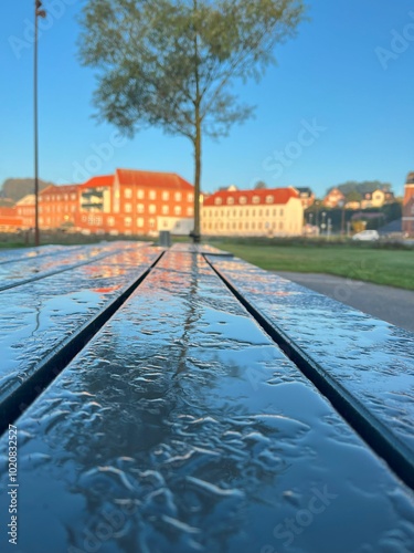 Close-up of a wet wooden bench in a park with buildings in the background, capturing the morning light. The reflective surface of the bench highlights the calm atmosphere of a fresh day.