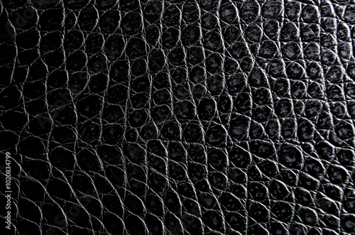 Crocodile skin artificial leather with customizable space for text or for mockup