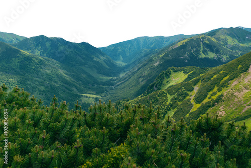 Beautiful mountain landscape in summer.  Tatra Mountains. Isolated object. photo