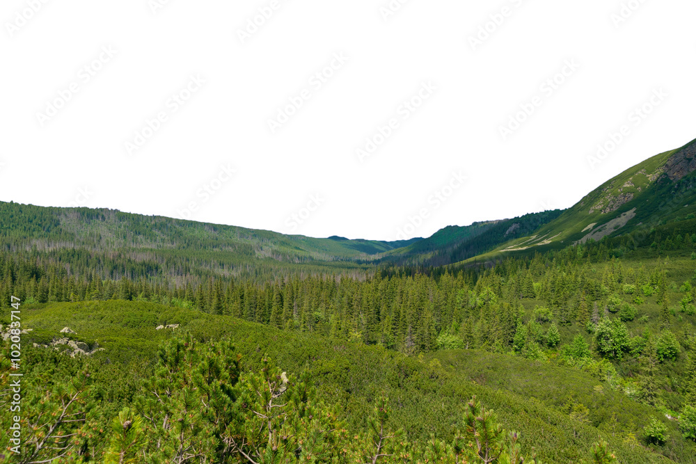 Obraz premium Beautiful summer landscape in the Tatra Mountains, Poland. Isolated object.