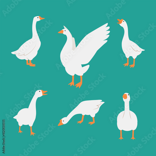 Set of geese in different poses on a green background