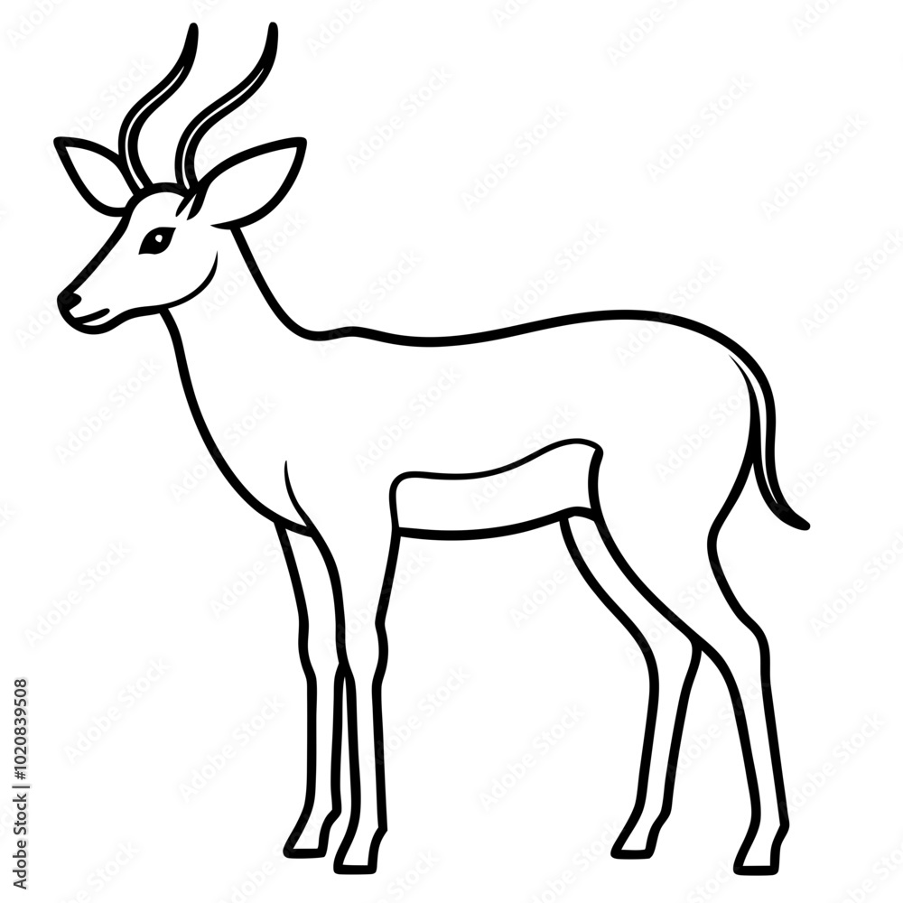 Antelope line art vector illustration Antelope line art vector illustration