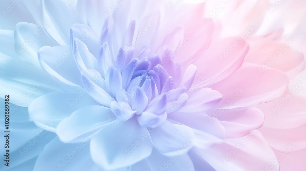 Fototapeta premium A captivating soft pink gradient blooms at the heart of an enchanting floral arrangement background