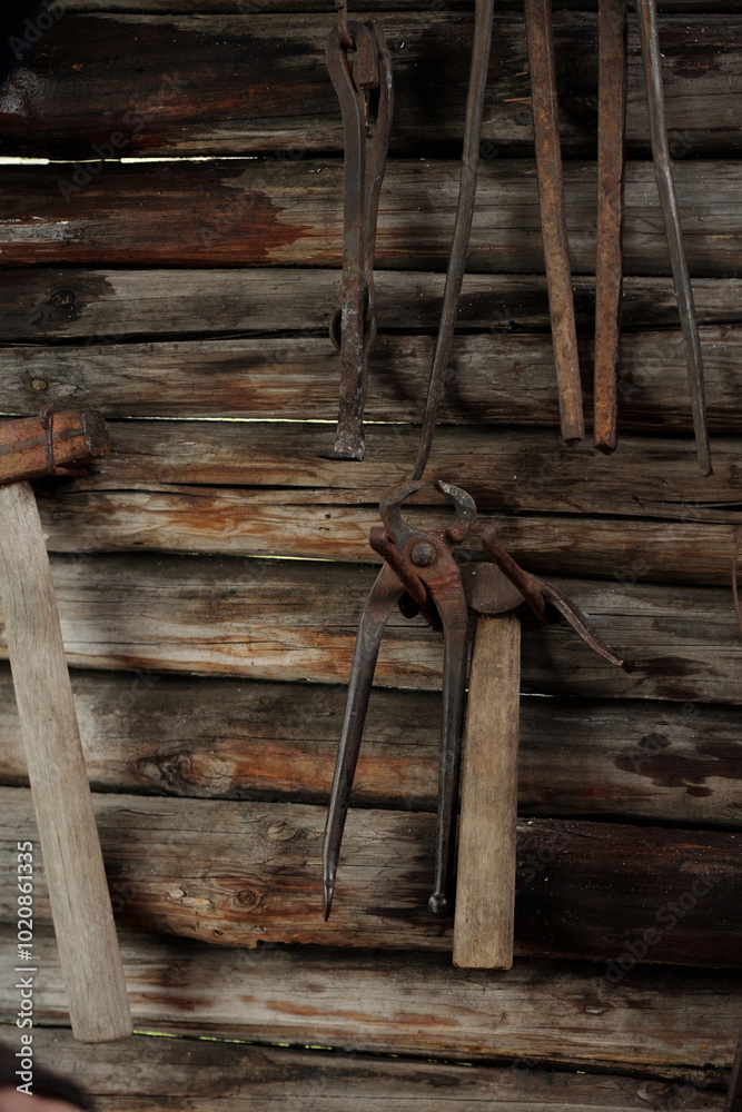 Rusty tools arranged on weathered wooden planks, creating an aged and nostalgic ambiance. Capturing historical essence of manual labor tools without modern machinery Rusty tools arranged on weathered wooden planks, creating an aged and nostalgic ambiance. Capturing historical essence of manual labor tools without modern machinery