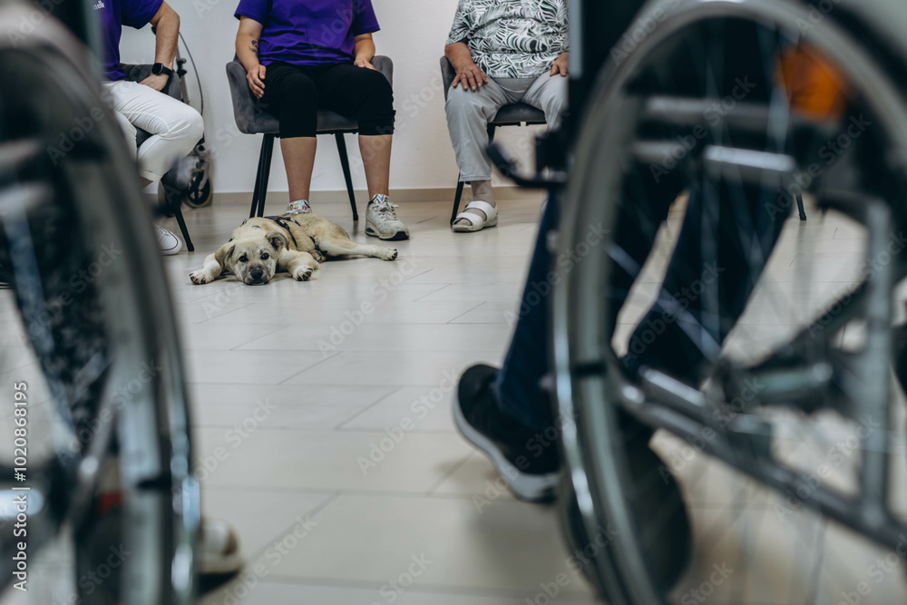 Group of elderly people in a nursing home spending time with their friendly dog. Group of elderly people in a nursing home spending time with their friendly dog.