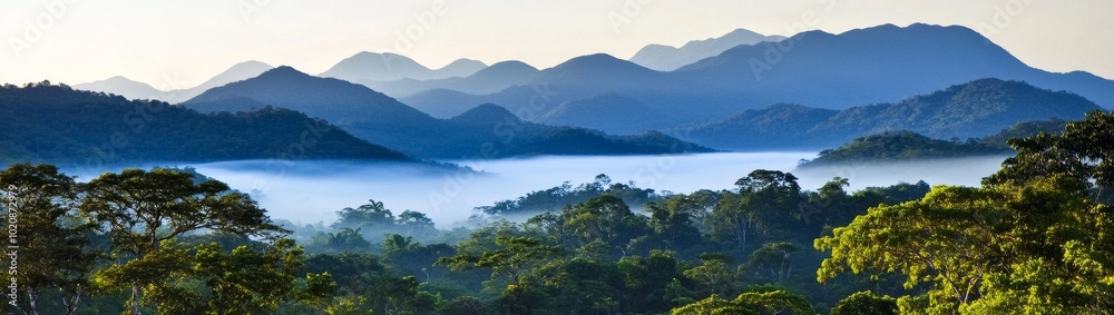 Mist-Wrapped Forest Panorama with Mountains in the Background, High-Resolution Professional Photograph, Super-Resolution Luxury Landscape Photography, Foggy Background Mist-Wrapped Forest Panorama with Mountains in the Background, High-Resolution Professional Photograph, Super-Resolution Luxury Landscape Photography, Foggy Background