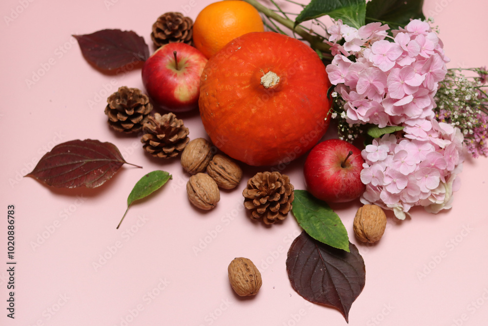 Autumn still life with pumpkins, apples and hydrangea flowers on pink background with space for text Autumn still life with pumpkins, apples and hydrangea flowers on pink background with space for text