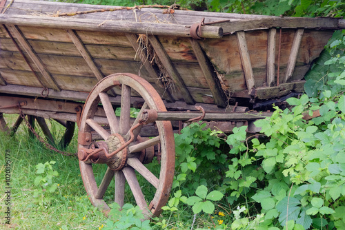 Wooden wheel. Vintage wooden cart. Traditional country vehicle in nature background. photo