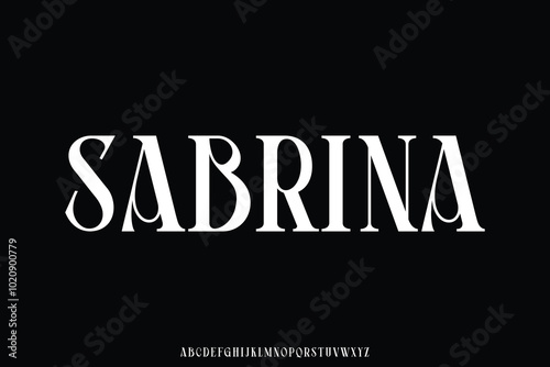 Decorative glamor style serif alphabet display font vector