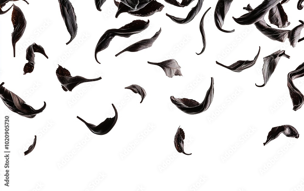 Black tea leaves falling gracefully against a white background, showcasing their texture and shape in a culinary presentation Black tea leaves falling gracefully against a white background, showcasing their texture and shape in a culinary presentation