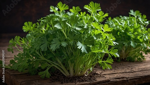 Close-up of parsley on a wooden table