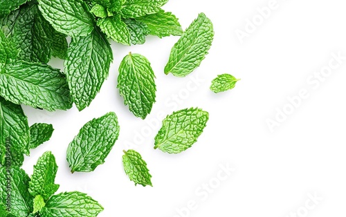 Fresh mint leaves spread on a white background showcasing vibrant green hues and varying leaf sizes for culinary use photo