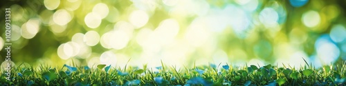 A field of grass with a bright blue sky in the background. The grass is lush and green, and the sky is clear and bright. Concept of peace and tranquility, as if one were walking through a beautiful