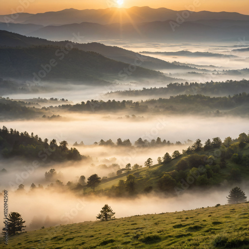 Valley Landscape