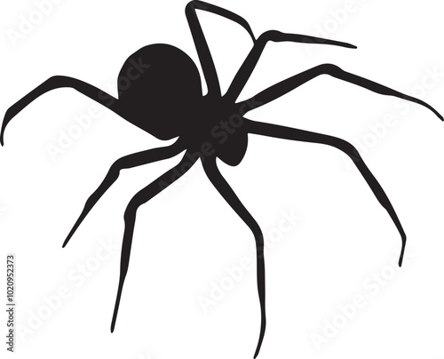 black spider isolated on white
