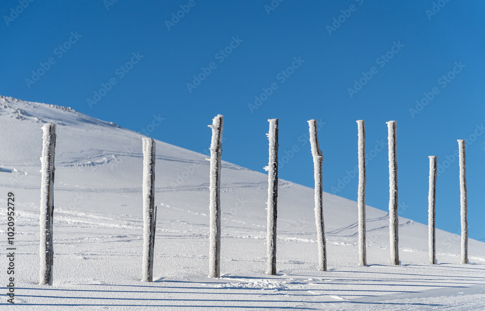 A wooden fence with frozen snow on top, marking the edge of a ski slope during a bright summer day. The snow contrasts with the warm light, symbolizing winter's presence. A wooden fence with frozen snow on top, marking the edge of a ski slope during a bright summer day. The snow contrasts with the warm light, symbolizing winter's presence.