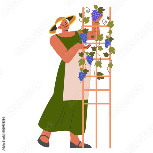 Diversity Businesswoman. Flat Vector Illustration