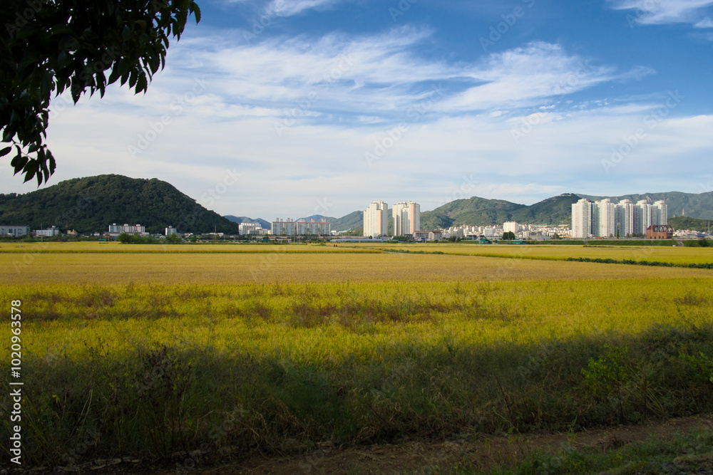 Obraz premium 시골과 도시가 공존하는 곳