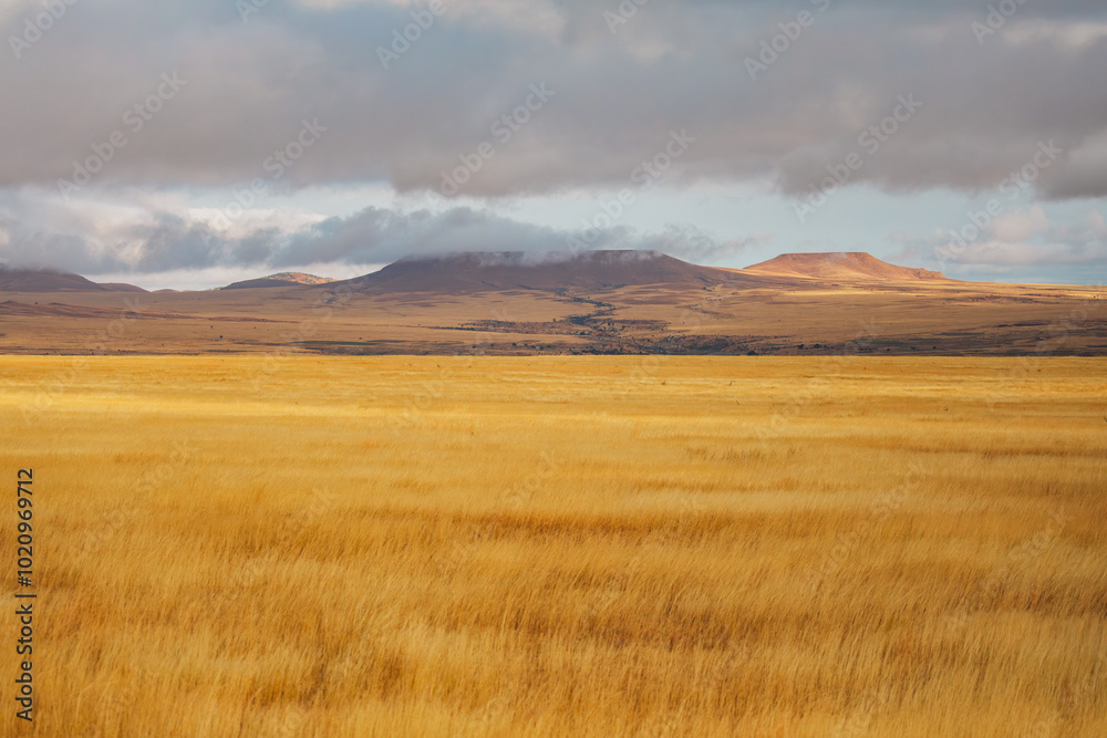 Madagascar - arid landscape