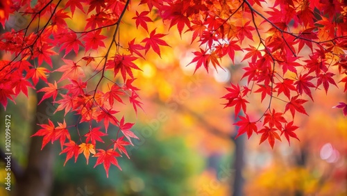 Crimson Maple Leaves Against a Blurred Background of Autumn Colors