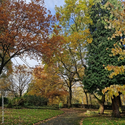 Autumn in the park. Autumn season. Park. Garden. October. Beauty of nature.