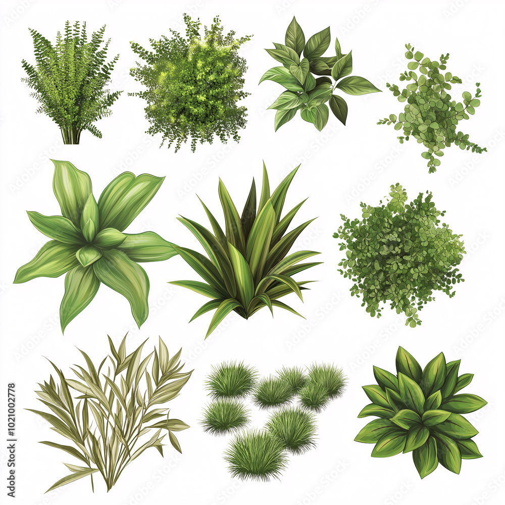 grass grass