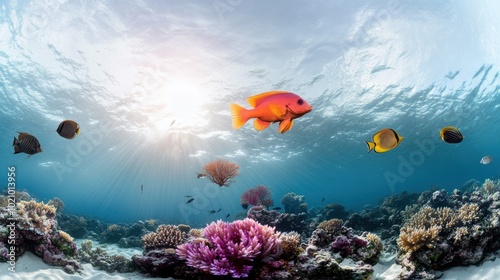 Vibrant Underwater Scene with Colorful Coral and Fish