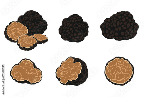 Black truffles isolated on a white background. Fresh sliced truffle. Delicacy exclusive truffle mushroom. on white background, vector illustration
