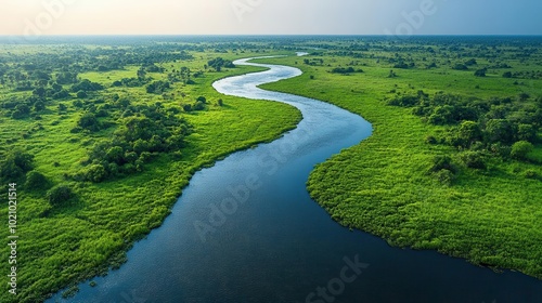 aerial view of a lush river delta showcasing winding waterways intertwined with vibrant green vegetation capturing the beauty of nature and the intricate patterns formed by the landscape