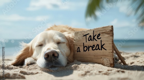 A golden retriever rests on the beach beside a wooden sign that says 