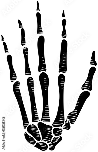 foot illustration bone silhouette hand logo anatomy icon skeleton outline medical human body knee health medicine x-ray arm chest shape and vector graphic background