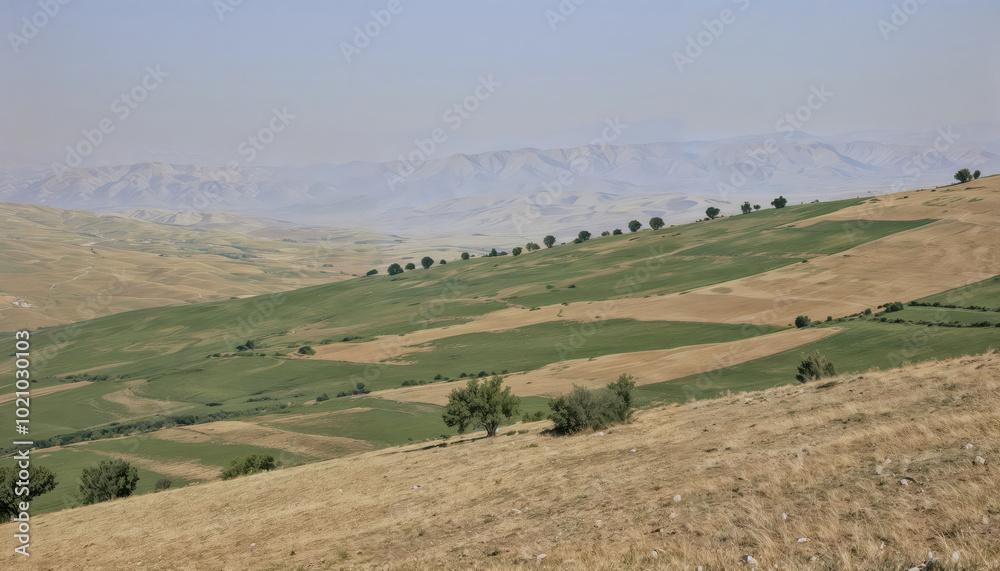 Peaceful Rural Landscape With Rolling Hills and Trees Peaceful Rural Landscape With Rolling Hills and Trees
