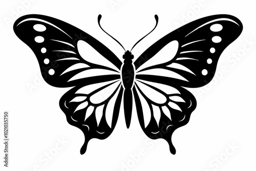 Butterfly silhouette, Butterfly stencil vector, Butterfly silhouette icon