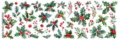 Set of isolated cute Holly branches in vivid hand painted watercolor painting on a transparent background for ornamental Christmas and New Year celebration party decoration elements.