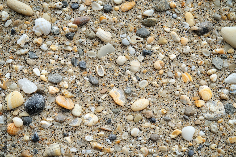 Sand Textur Nahaufnahme Bunte Steine Muscheln Strand Naturmaterialien Detailreiche Struktur Küstenoptik Natürliche Farben Hintergrund Dekor Texturiertes Muster Maritimes Design Detaillierte Fotografie Sand Textur Nahaufnahme Bunte Steine Muscheln Strand Naturmaterialien Detailreiche Struktur Küstenoptik Natürliche Farben Hintergrund Dekor Texturiertes Muster Maritimes Design Detaillierte Fotografie