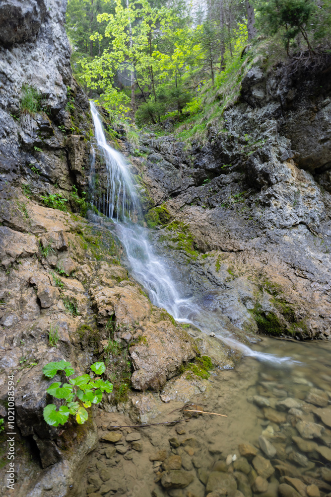 Fototapeta premium Raztocky waterfall, Kvacianska valley, Chocske vrchy, Slovakia