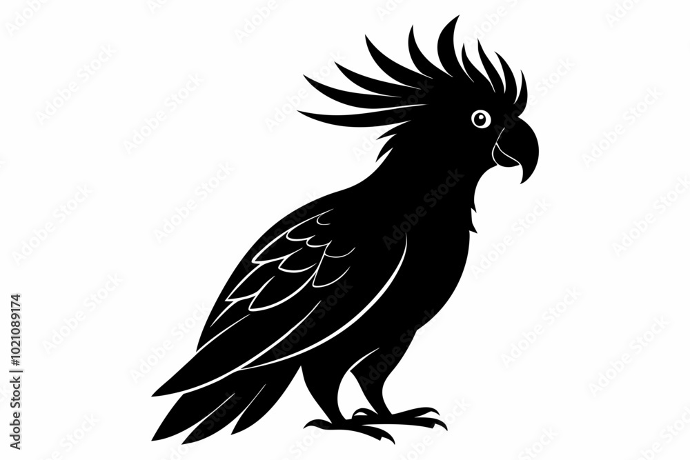 Obraz premium Cockatoo black silhouette vector, parrot silhouette, Cockatoo bird