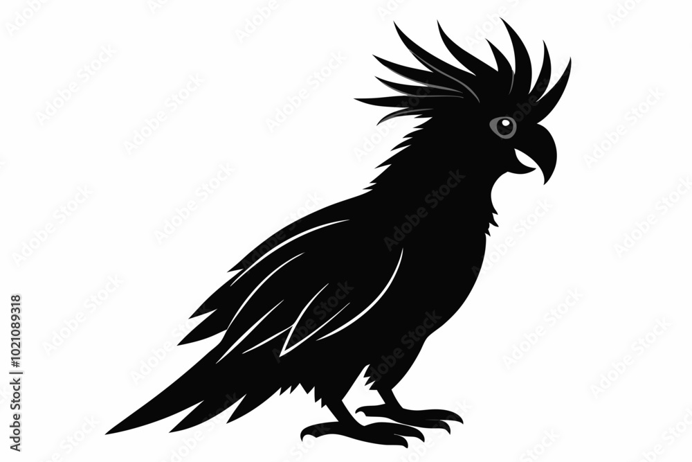 Obraz premium Cockatoo black silhouette vector, parrot silhouette, Cockatoo bird