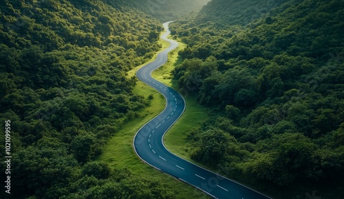 A winding road through a forest with trees on both sides