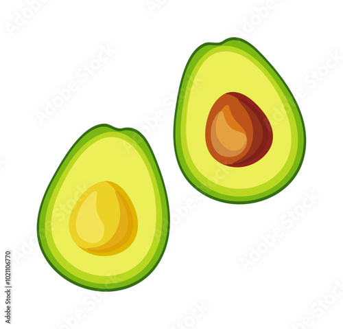 Avocado in cartoon style. Vector illustration of fresh and tasty two avocado halves with and without a bone isolated on a white background. Useful fruits. Health. Breakfast.
