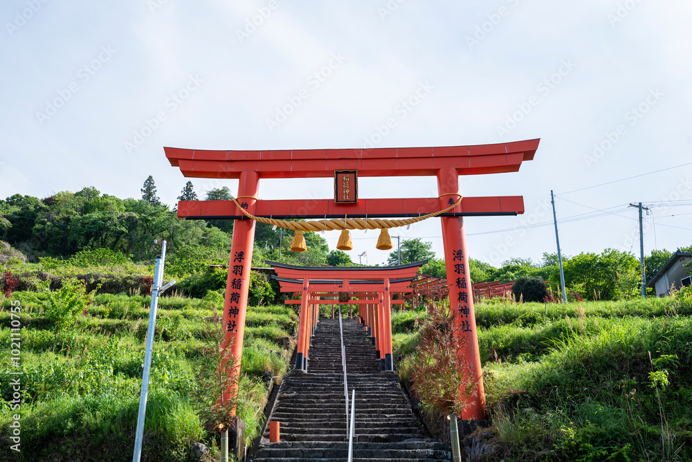 浮羽稲荷神社境内に並ぶ鳥居　福岡県うきは市城ヶ鼻公園