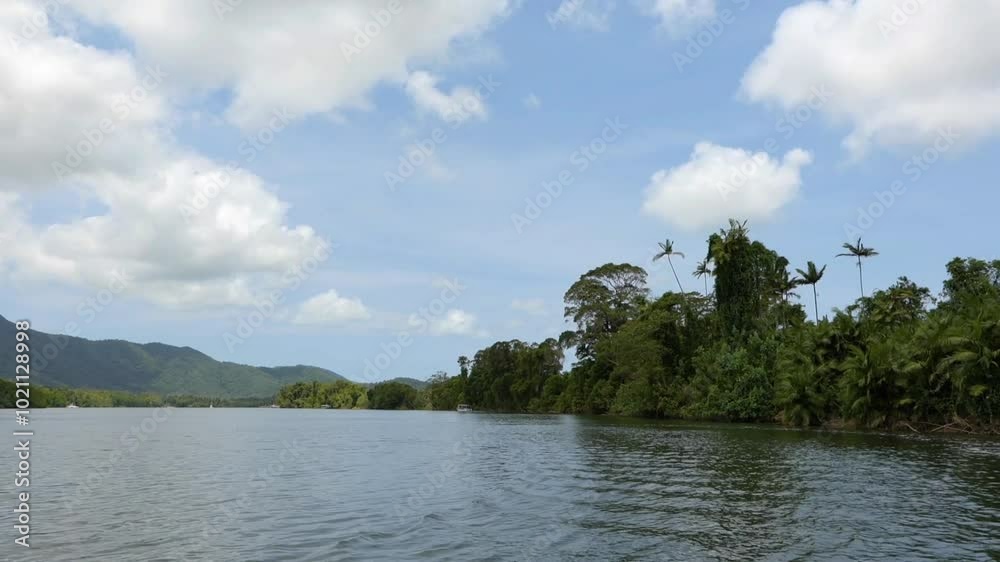 Panoramic view of Daintree River from the boat, Queensland, Australia. Panoramic view of Daintree River from the boat, Queensland, Australia.