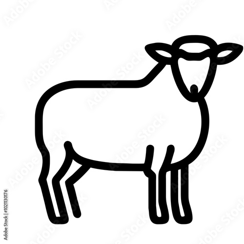 sheep