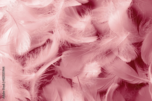 Fluffy light red feathers as background, top view