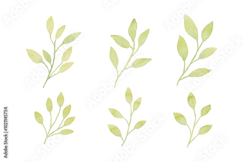 Assortment of watercolor leaves illustration set - green leaf branches collection for wedding, greetings, stationary, wallpapers, fashion, background. olive, green leaves, Eucalyptus etc