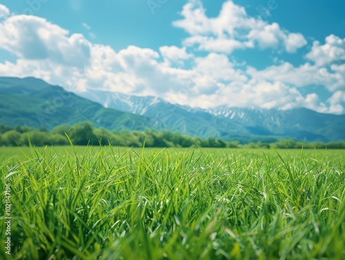 A field of grass with a clear blue sky above, generative ai image